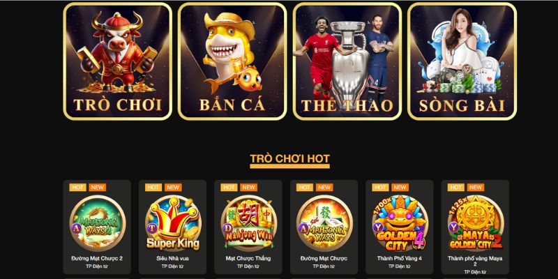 Nhà cái cung cấp các loại hình giải trí gì?